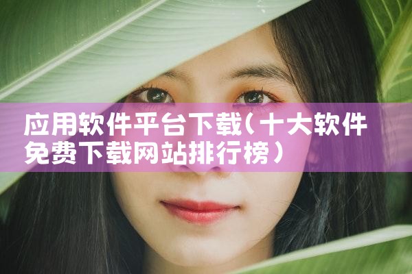 应用软件平台下载
