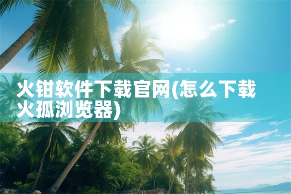 午夜安装软件下载官网