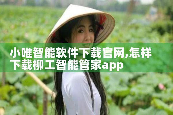 小唯智能软件下载官网