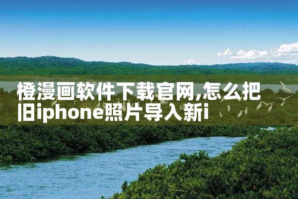 橙漫画软件下载官网