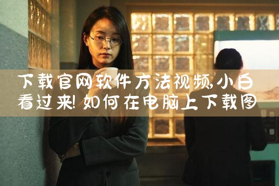 下载官网软件方法视频