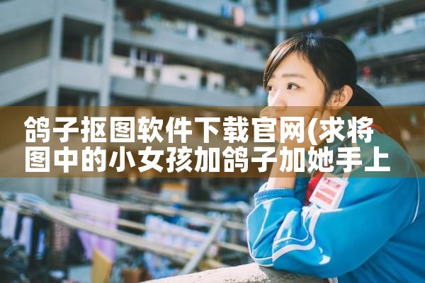 赢牌软件下载官网