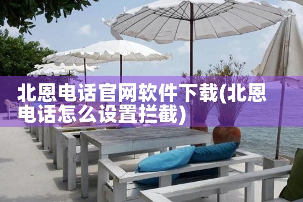 北恩电话官网软件下载