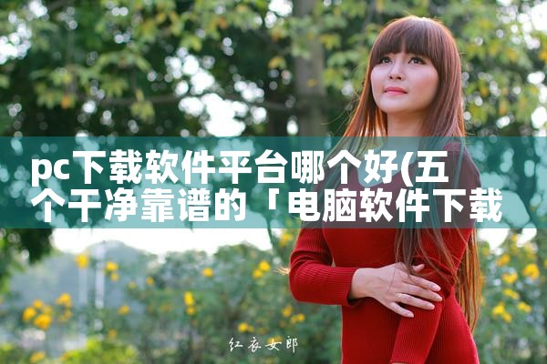 pc下载软件平台哪个好