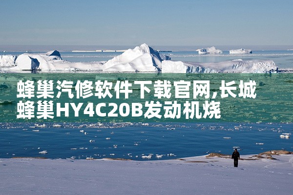 蜂巢汽修软件下载官网