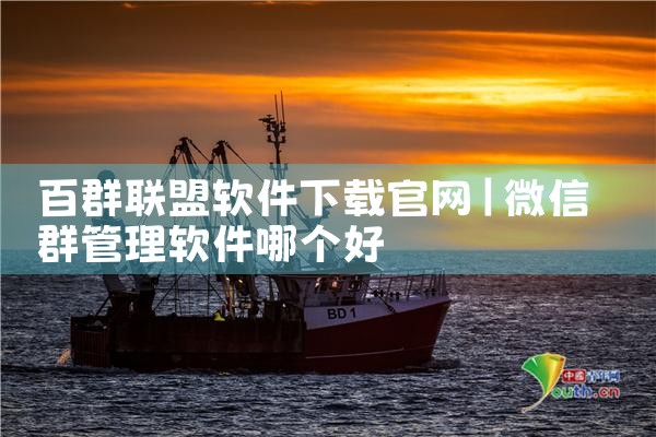 百群联盟软件下载官网