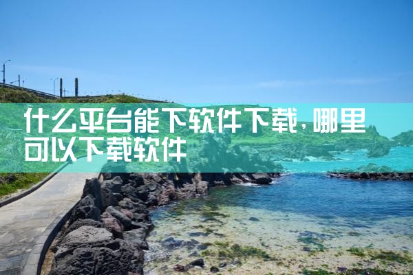 什么平台能下软件下载