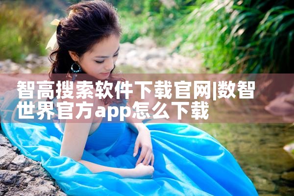 智高搜索软件下载官网