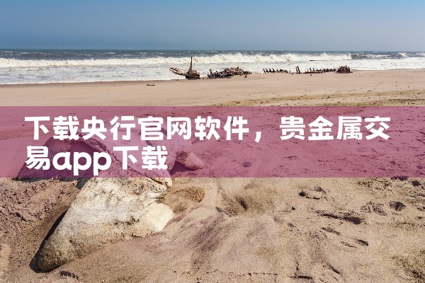 大众秒抢软件下载官网